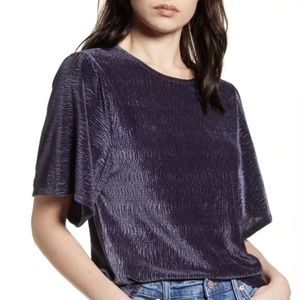 Madewell Bluish Purple Velvet Cropped Top in XS